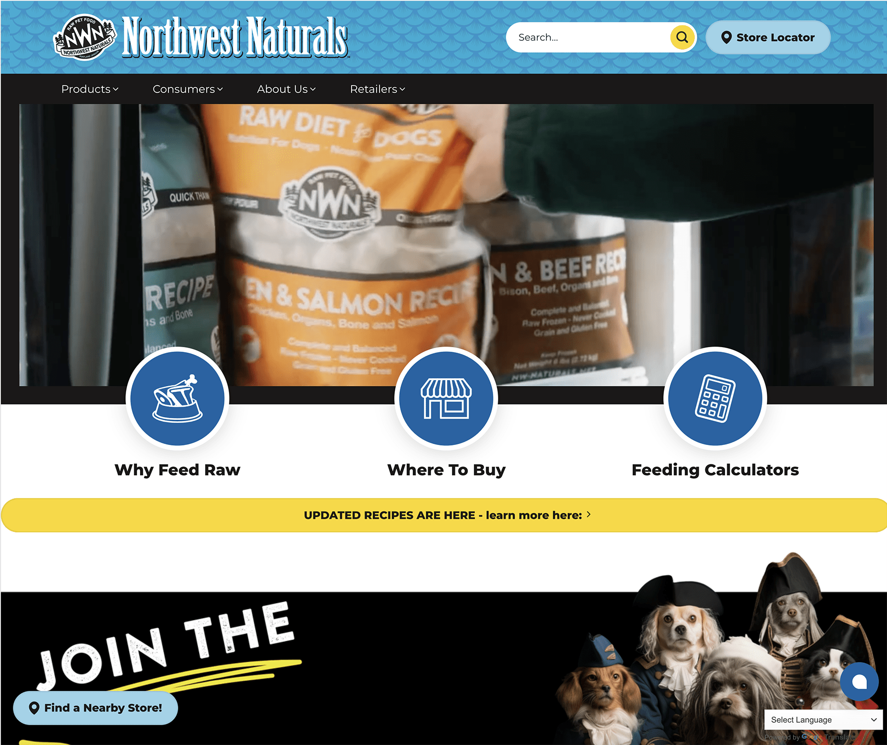 Website